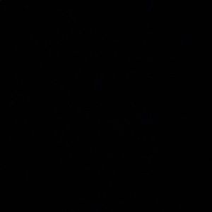 Meet your Posher, Demi